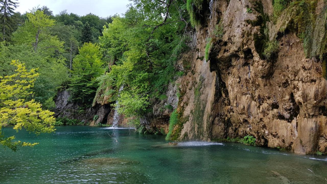 B&B Plitvica Villa Prica Plitvička Jezera Exteriör bild